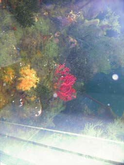 ... bis zu einer Tiefe von 10 Metern ...