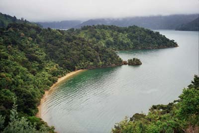 ... am Kenepuru Sound ...