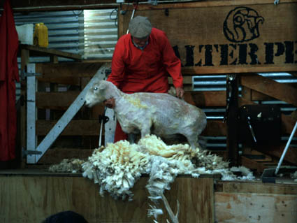 ... als Highlight des Aufenthaltes ...