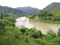 Der Whanganui fhrt Hochwasser ...