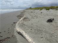 Strand schn und menschenleer ...