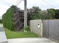 Auch Hecken mssen mal enden ...