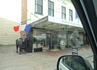 Die Franzosen sind auch schon da ...