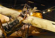 Wehrhafte "Taube" ...