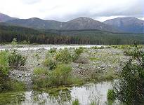 Viel Landschaft am Straenrand ...