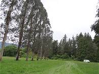 (Fast) allein auf weiter Flur ...