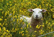 Hier mag einer Touris ...