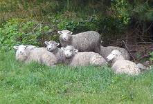 Zusammenrcken angesagt ...