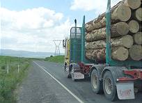 Holztransporter: 100 km/h-Vorfahrt eingebaut ...