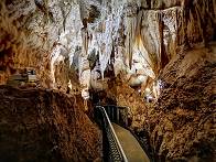 Brcke in die Ruakuri Cave ...