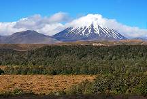 Mount Ngauruhoe und weiterer Vulkankegel