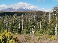 Nur wer weitergeht, kommt zu den Falls ...