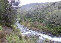 Blick hinunter vom Stellplatz: Whakapapanui Wildbach ...