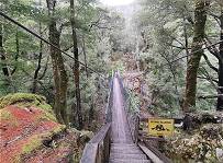 Hunde mssen oben bleiben ...