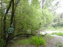 Beeindruckende Hochwasserstnde ...