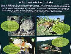 Wieder viele Vogel-Lieblinge ...