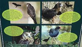 Und es gibt noch mehr davon ...