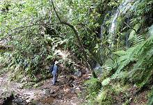 Wasserfall zum Verweilen ...