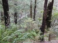 Erneuter Anstieg ...