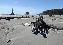 Vorbereitungen fr ein Sonnwendfeuer ..?