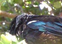 Wo wurden die wohl zu Telefonisten ausgebildet?