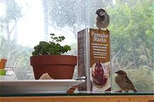 Das Fliegende Personal ist auch schon da ...