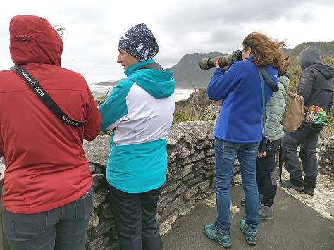 Viel zu fotografieren ...