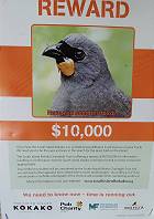 Gesucht: Aussterbender Vogel ..?