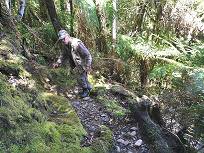 Spter leider keine Fotos mehr ...