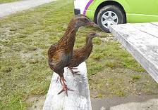 Was gibts heute zu essen?