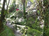 Und weiter gehts bergan!