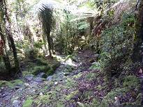 Es geht wieder bergab ...