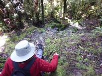 Vorbergehend angekommen ...