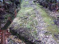 Erfolgreiche Kanalarbeiten ...