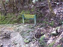 Wer will hier Gold suchen?