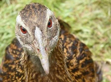 Schon bald wird man sich nher kennenlernen ...