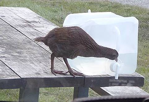 Haben die Gste nichts zu trinken ..?