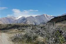 Hier wollen wir bleiben!