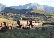 Unsere Freunde sind immer dabei ...