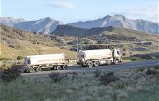 ... und transportieren auch hier ununterbrochen ...