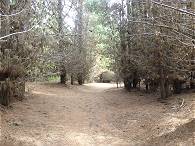 Kurzer Weg zum Strand ...