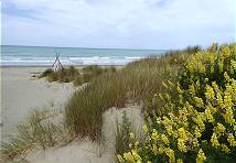 Von hier aus recht weit bis Sdamerika ...