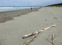 Viel Strand fr wenige Besucher ...