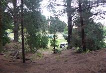 ... und wie immer naturnah ...