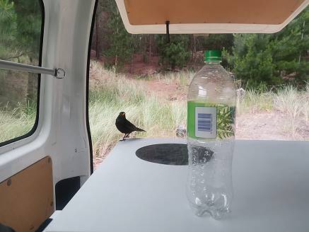 Die ersten Gste warten schon ...