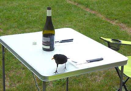 Passt der Wein nicht?