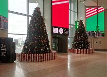 Die Sommer-Weihnacht wartet ... Die Sommer-Weihnacht wartet ...