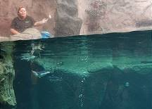 Kommentierte Fütterung ... Kommentierte Fütterung ...