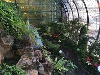 Sollen hier nicht irgendwo Schmetterlinge sein?