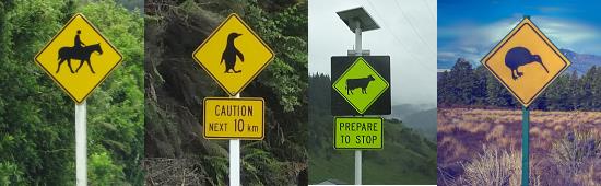 Allerlei Tiere auf Neuseelands Straen ...